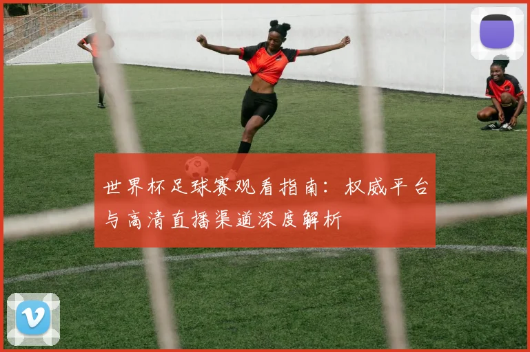 世界杯足球赛观看指南：权威平台与高清直播渠道深度解析