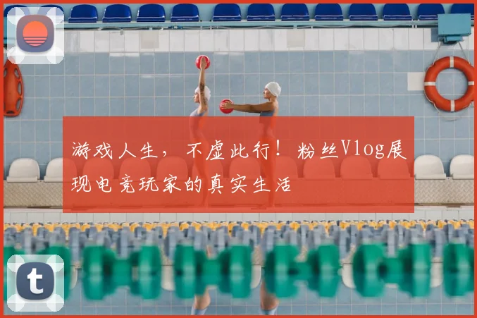 游戏人生，不虚此行！粉丝Vlog展现电竞玩家的真实生活
